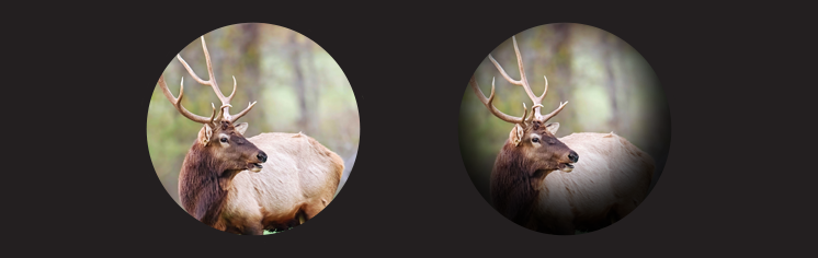 Indlæg på GrejPedia - Kikkertguide - GrejFreak.dk