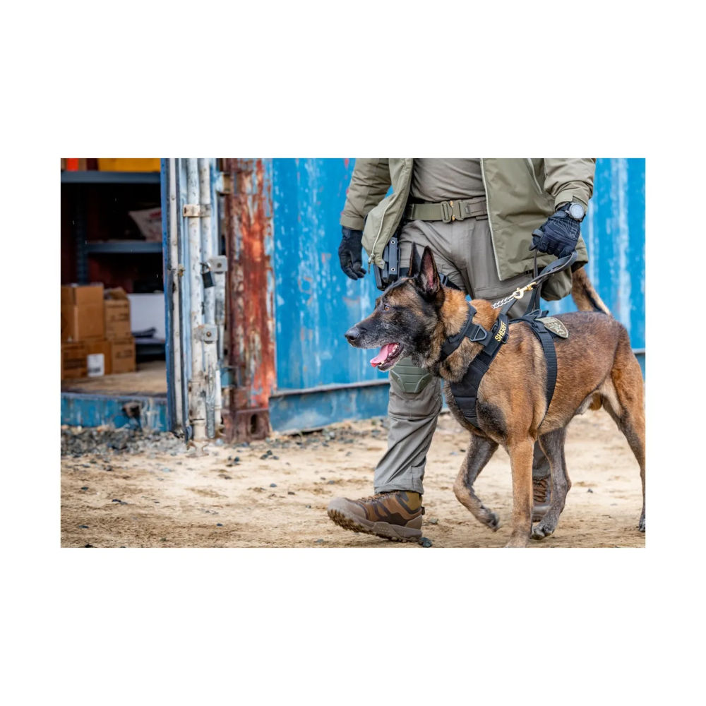 5.11 - AROS K9 Hundesele // Ranger Green (186) fra 5.11 - billede nr. 5 hos GrejFreak.dk