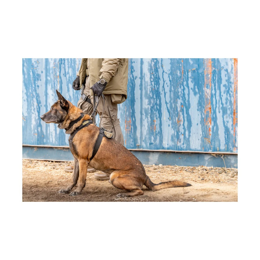 5.11 - AROS K9 Hundesele // Ranger Green (186) fra 5.11 - billede nr. 6 hos GrejFreak.dk