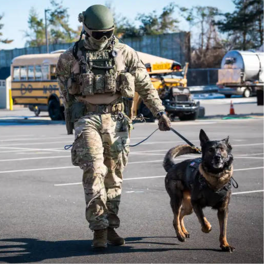 Lowa - Innox PRO Gore-Tex MID TF Støvler // Sort fra Lowa - billede nr. 4 hos GrejFreak.dk