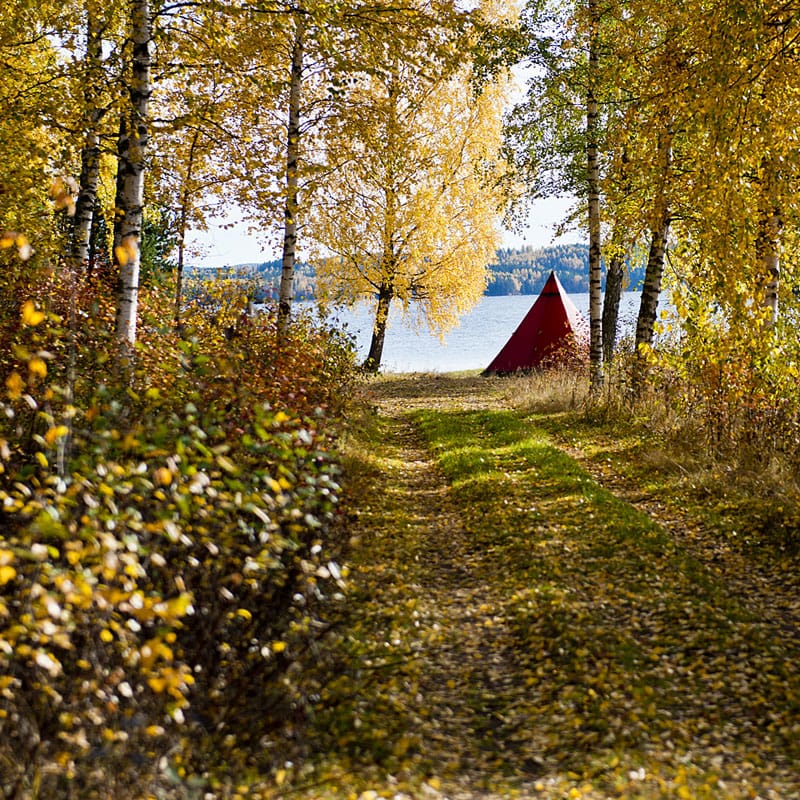 Tentipi - Zirkon 9 Light 6-10 Personers Letvægtstelt fra Tentipi - billede nr. 3 hos GrejFreak.dk