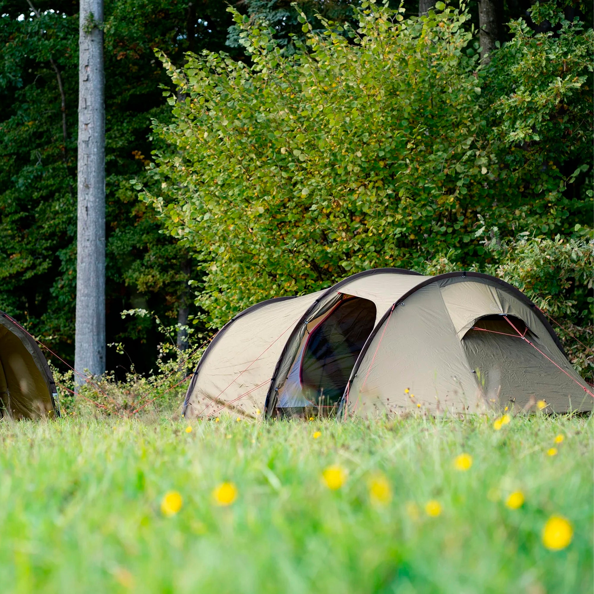 Nordisk - Oppland 3 PU (3.0) Telt // Dark Olive Green fra Nordisk - billede nr. 15 hos GrejFreak.dk