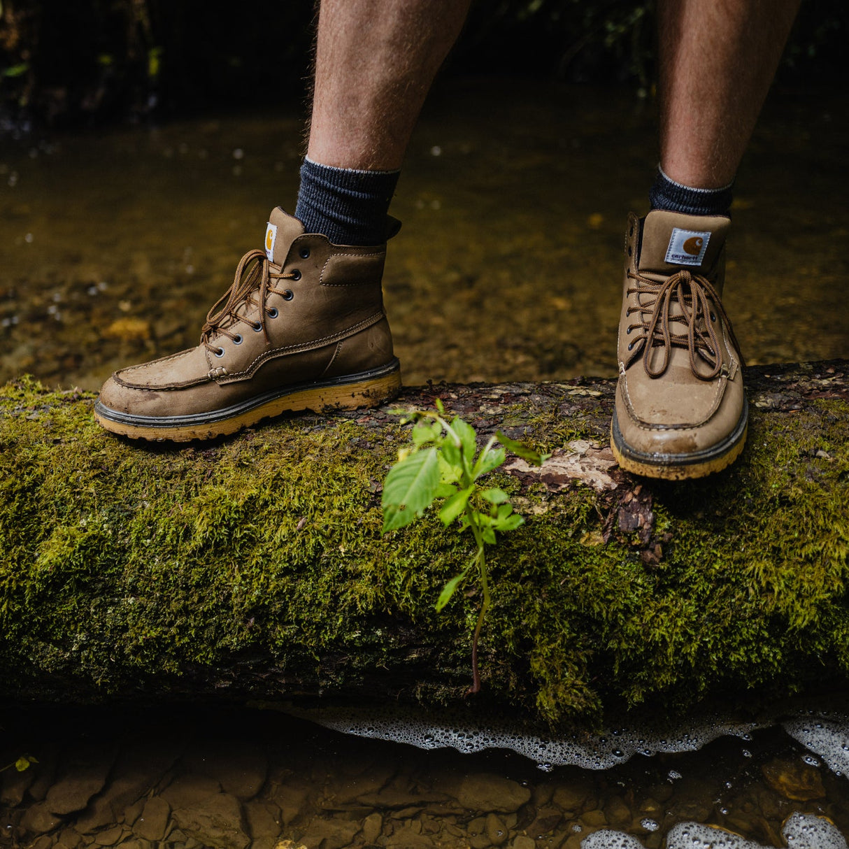 Carhartt - Greenfields 2 Støvler // Khaki
