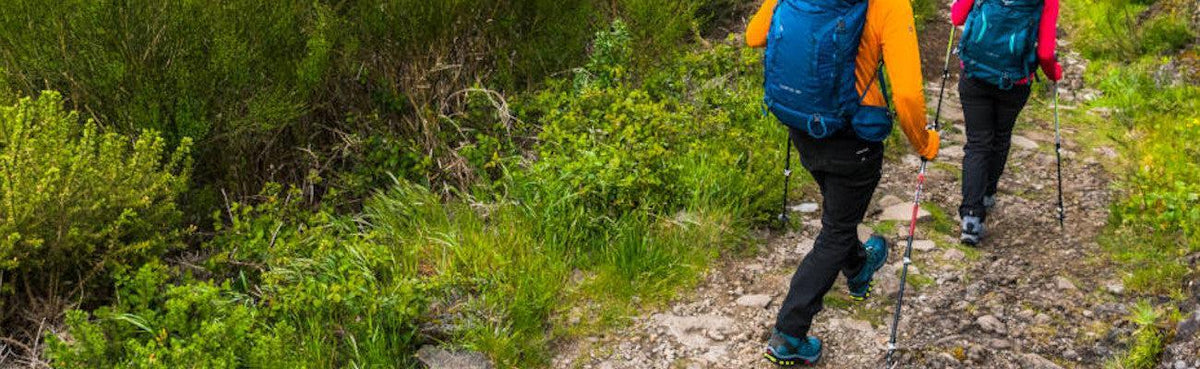 Indlæg på GrejPedia - Guide til fodtøj - GrejFreak.dk