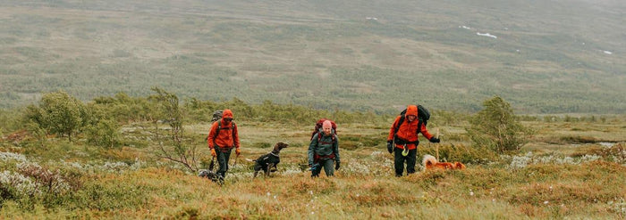 Indlæg på GrejPedia - Guide til vandresko - GrejFreak.dk