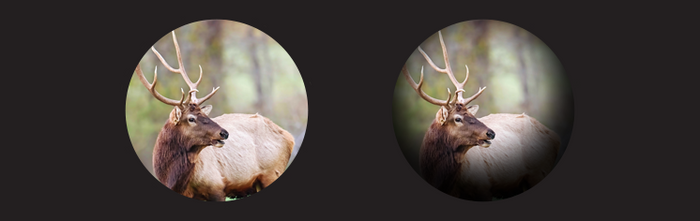 Indlæg på GrejPedia - Kikkertguide - GrejFreak.dk