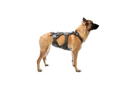 K9 Taktisk Hundegrej - GrejFreak.dk
