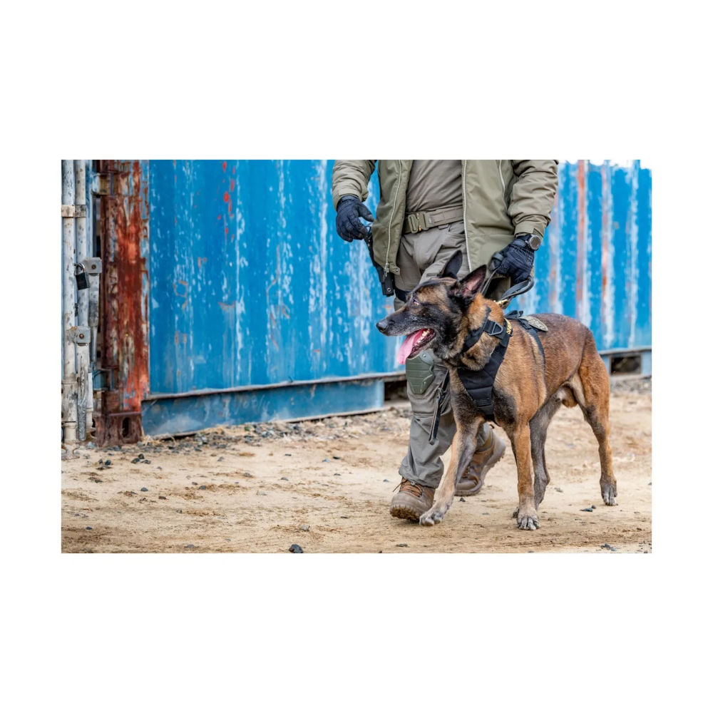 5.11 - AROS K9 Hundehalsbånd Bred // Ranger Green fra 5.11 - billede nr. 9 hos GrejFreak.dk