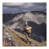 Eberlestock - F1 Mainframe Pack Bærerygsæk // Sand / Dry Earth fra Eberlestock - billede nr. 5 hos GrejFreak.dk