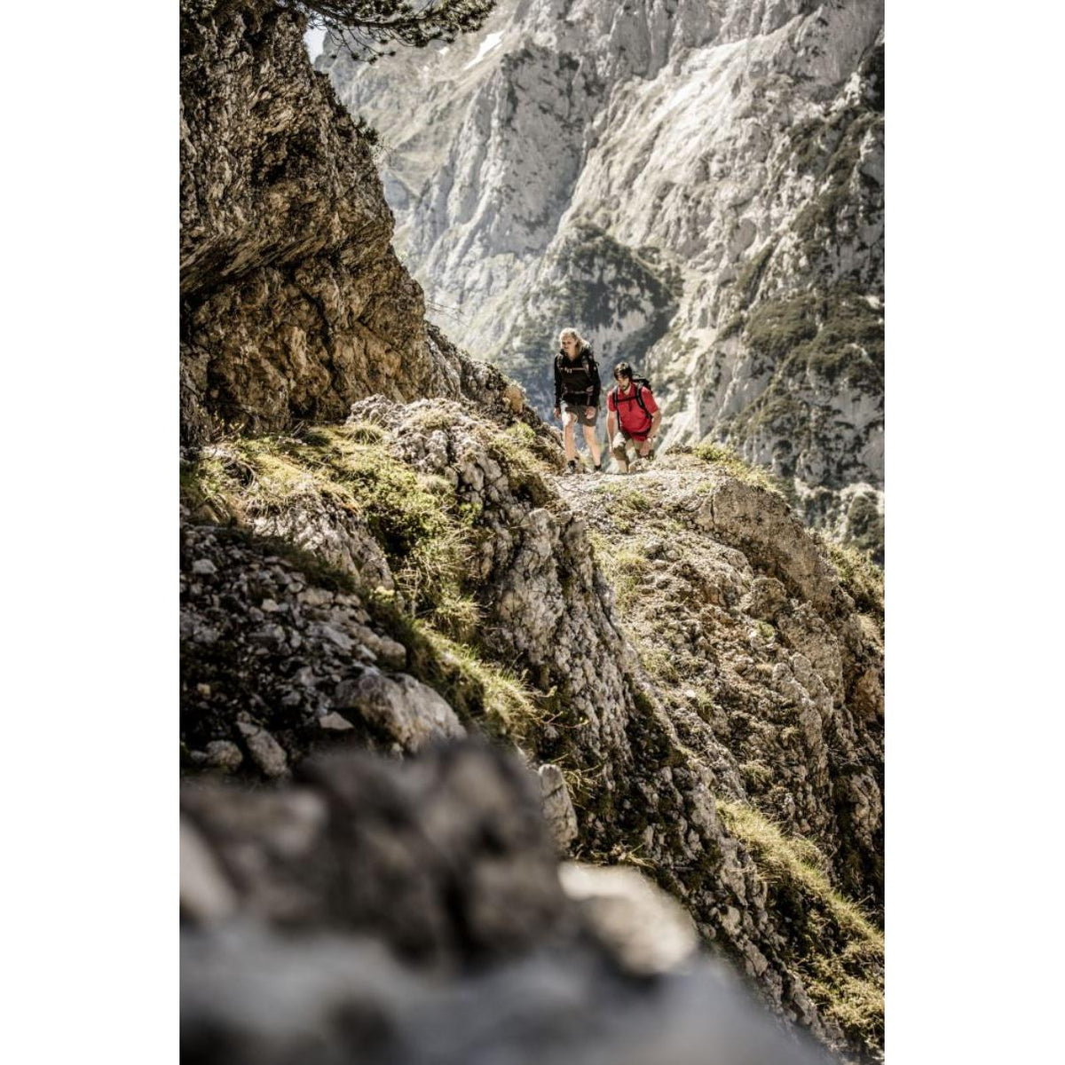 Hanwag - Tatra Top Wide GORE-TEX Vandrestøvler fra Hanwag - billede nr. 5 hos GrejFreak.dk