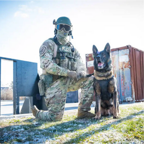 Lowa - Innox PRO Gore-Tex MID TF Støvler // Sort fra Lowa - billede nr. 5 hos GrejFreak.dk