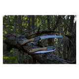 Silky - Gomboy Curve Outback Edition Foldesav fra Silky - billede nr. 4 hos GrejFreak.dk